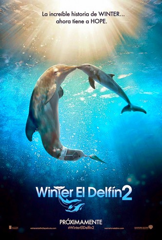 История дельфина 2 смотреть онлайн бесплатно в хорошем качестве HD 720
